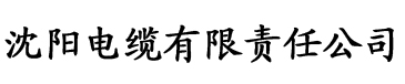 视频APP色版电缆厂logo